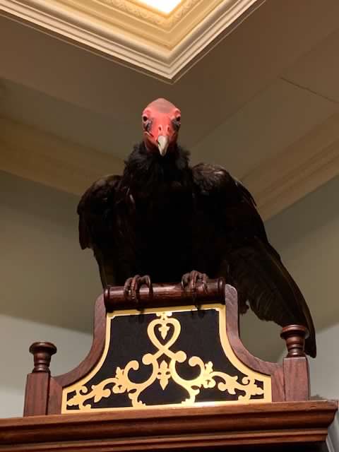 Memorabilia at Club 33